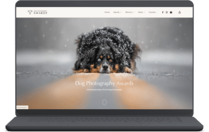 image de la page d'accueil du site dog photography awards